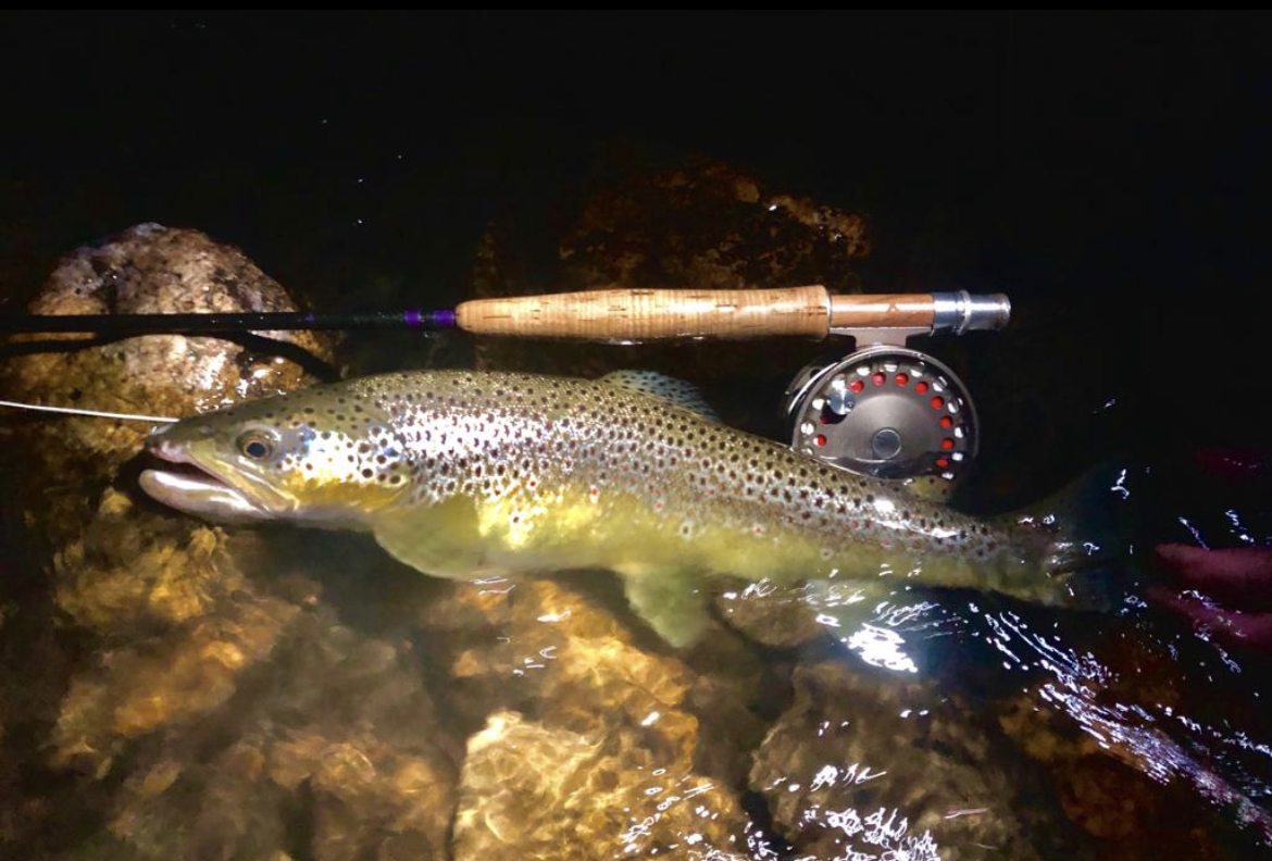 Why choose the Devon School of Fly Fishing for guiding or tuition