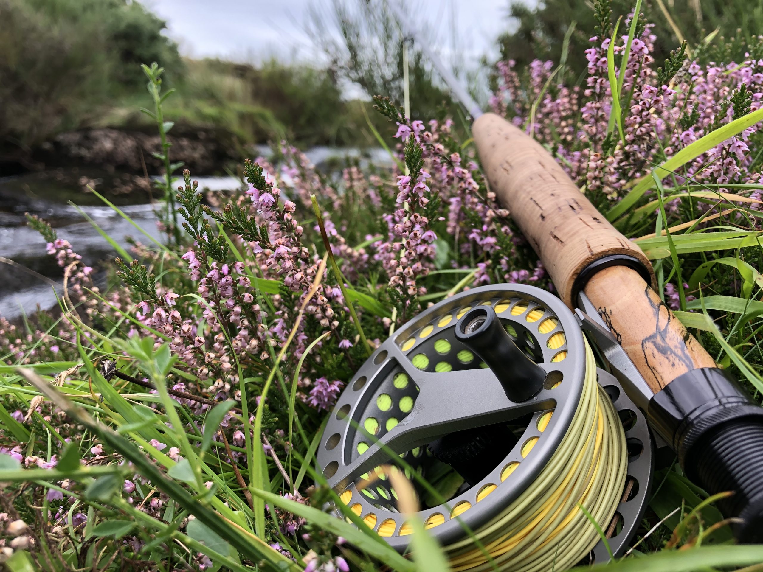 Guided Fly Fishing on Dartmoor The Devon School of Fly Fishing