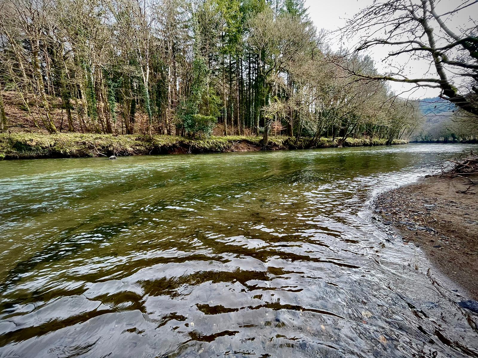 Contact The Devon School of Fly Fishing