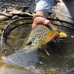 Trout fishing in Devon with the Devon School of Fly Fishing