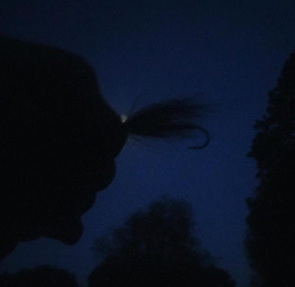 Sea Trout Fishing in Devon - The Devon School of Fly Fishing