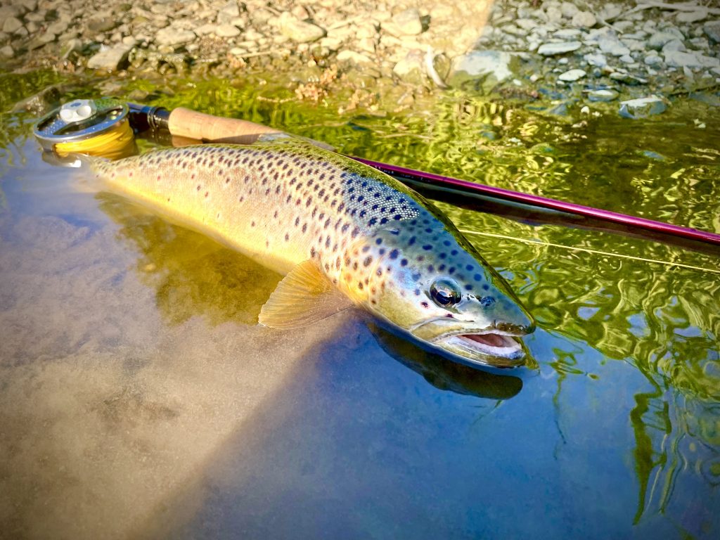 Improve your fly fishing success with a couple of tweaks to your technique